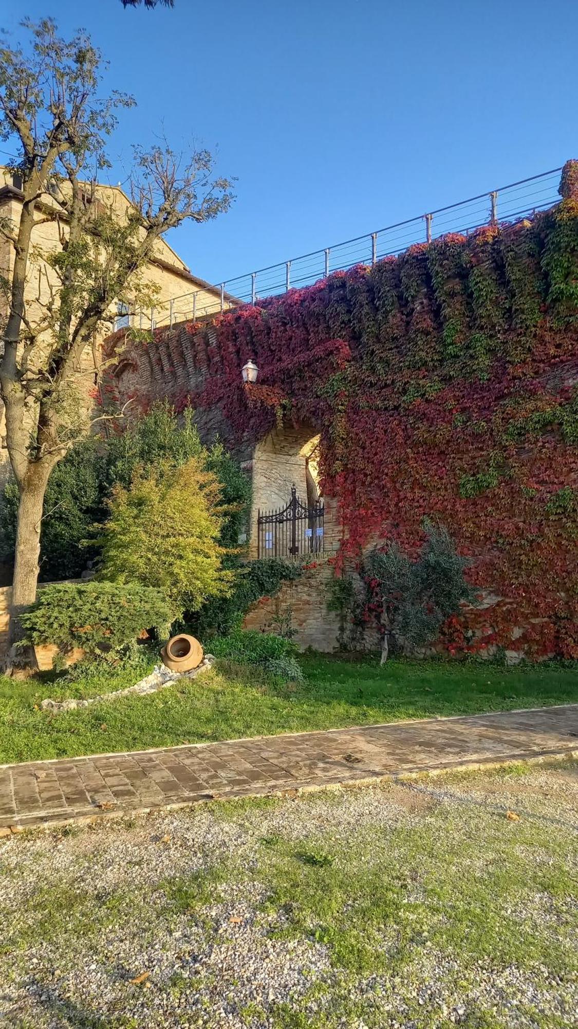 Novecento Appartement Bertinoro Buitenkant foto